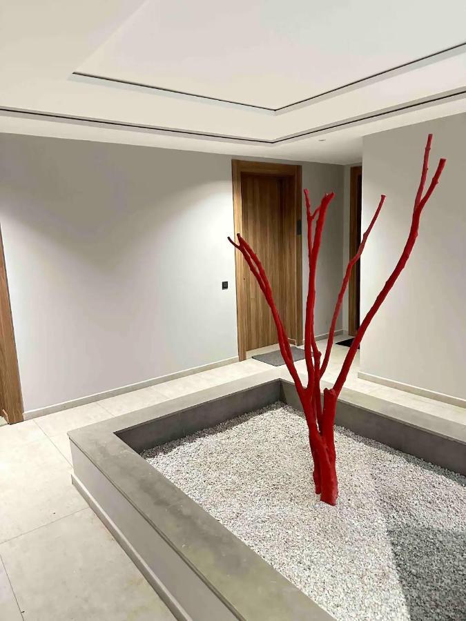 Cosy Appartement Au Centre De קזבלנקה מראה חיצוני תמונה